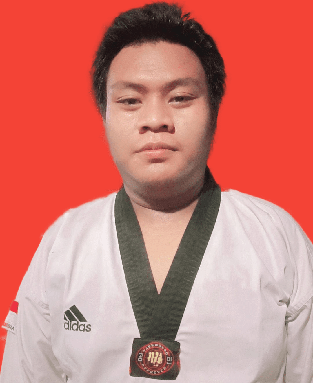 Raja Ali Haji Taekwondo Indonesia ITPLN ti-plntc.com